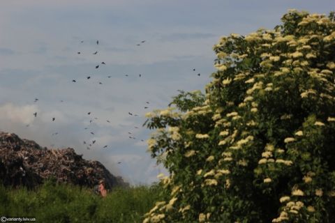 Місцеве сміттєзвалище на Турківщині рекультивує фірма з Луцька