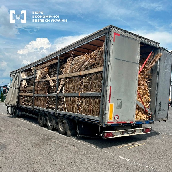 Мешканці Львівщини організували схему незаконного вивезення деревини за кордон