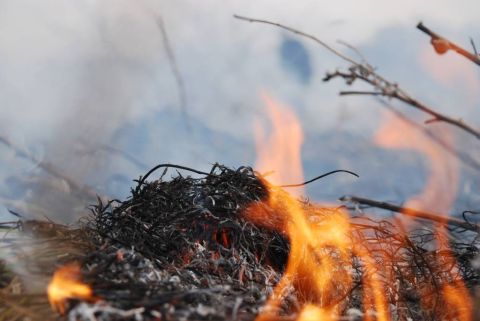 На Львівщині минулої доби виникло десять пожеж