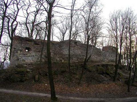 Депутат Львівської облради закликав відреставрувати залишки муру на Високому Замку у Львові
