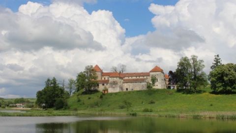 Львівська ОДА відтермінувала перетворення Свірзького замку на культурно-мистецький центр