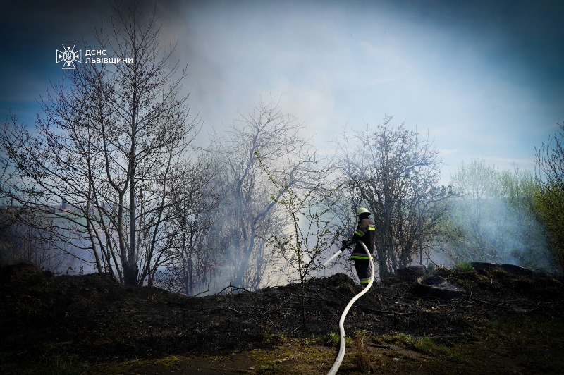 За добу на Львівщині зафіксували понад десять пожеж сухостою