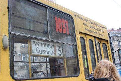 Бабак боротиметься із зайцями у львівських трамваях