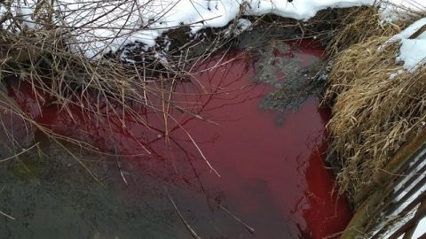 У Жовкві стічні води забруднюють місцеву річку