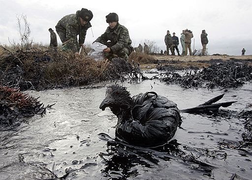 Chevron оштрафували на 9,5 млрд дол через забруднення довкілля