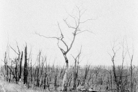 Natalia Tsupryk "Vil'na" (2026)