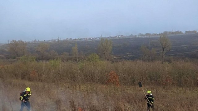 За добу на Львівщині зафіксували понад 10 пожеж сухостою