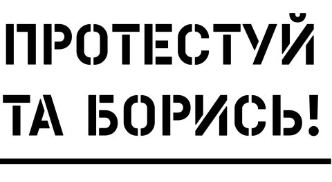 «Свобода» планує захищати результати виборів за допомогою спецзагонів