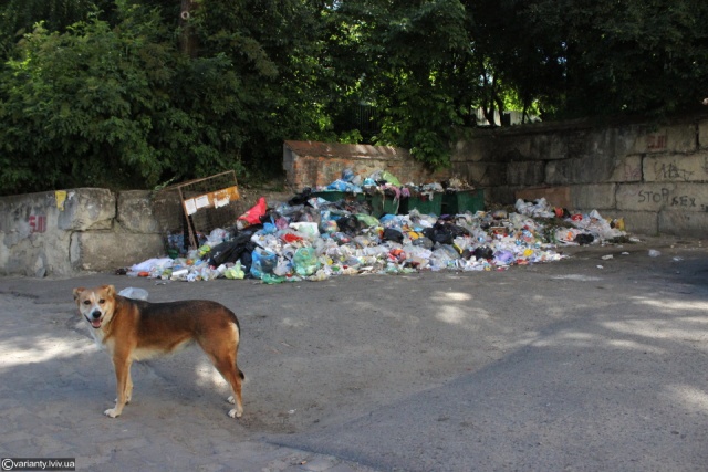 Суд дозволив відвантажувати дрогобицьке сміття на сміттєзвалище у Брониці