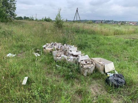На території Сокільницької ОТГ виявили звалище побутових відходів