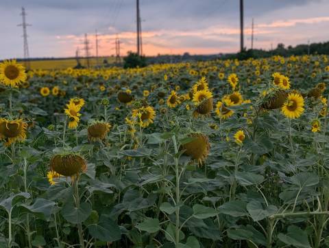 Погода на вівторок: місцями грози, +30°C