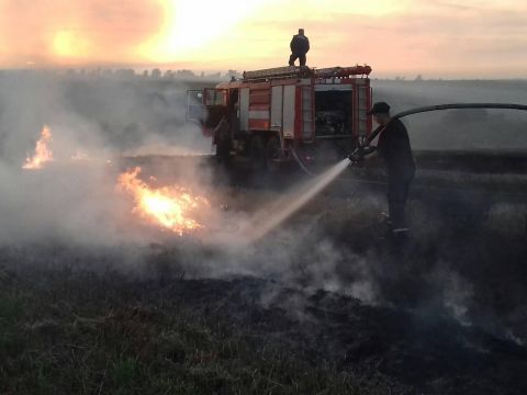 На Пустомитівщині згоріло 2 га стерні