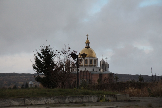 На Львівщині бракує працівників у закладах торгівлі, ремонту авто та транспортних підприємствах