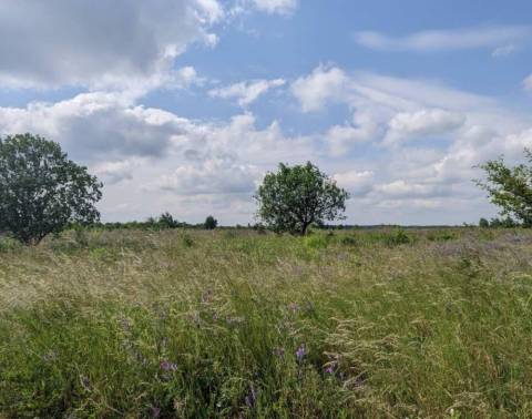 Міськрада Львова виграла суд щодо чергових трьох гектарів землі заказника Торфовище Білогорща