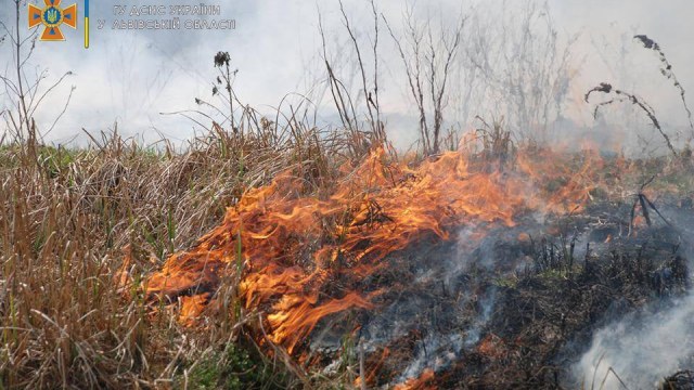 За добу на Львівщині зафіксували п'ять пожеж сухостою