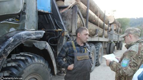 У одному із лісгоспів Стрийщини незаконно вирубують та продають ліс