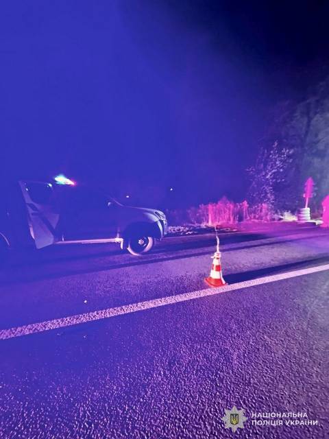 На Самбірщині водій Alfa Romeo під час спілкування з патрульними підірвав гранату