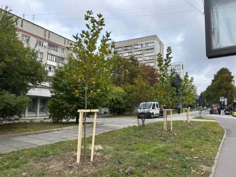 У Львові до кінця року висадять майже 400 дерев і кущів