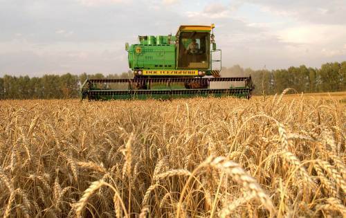 На Львівщині зростають обсяги валової продукції сільського господарства
