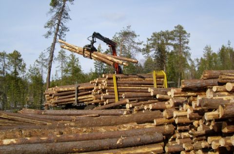 На Львівщині збудують лісопильно-деревообробний комбінат
