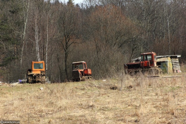 Лісника оштрафували на 7 000 гривень за вирубку лісу на Львівщині