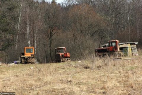 Посадовці Львівщині дозволили незаконно вирубати 130 сосен