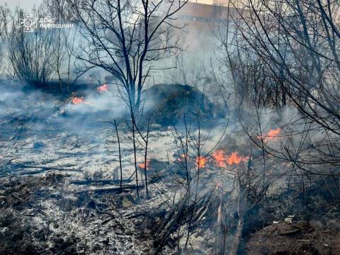 За добу на Львівщині зафіксували майже 60 пожеж сухостою