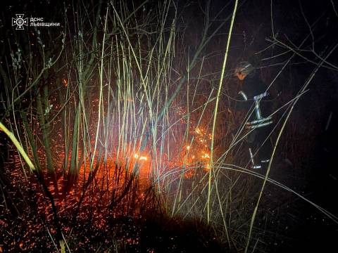 За добу на Львівщині зафіксували майже 60 пожеж сухостою