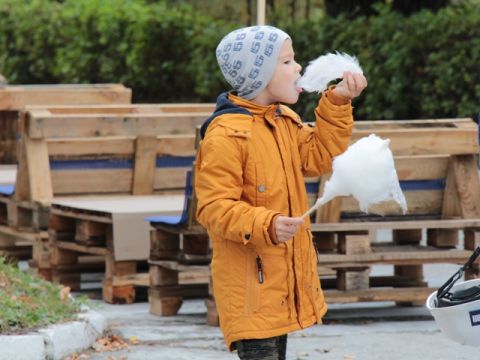 На Львівщині за понад два мільйони гривень придбають квартири для дітей-сиріт