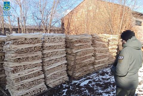 На Львівщині підприємницю спіймали на контрабанді лісу до Польщі