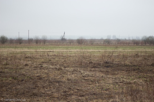 На Львівщині за тиждень здали в оренду понад 1600 гектарів сільськогосподарської землі