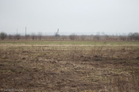 Голова одного із сіл Яворівщини дозволив незаконно приватизувати землю