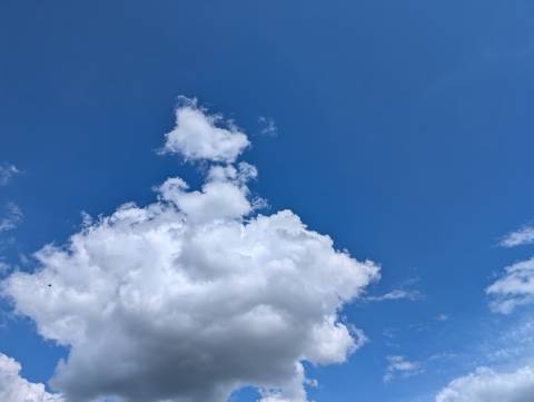 Торік через атаки РФ екологія Львівщини постраждала на майже 500 мільйонів гривень