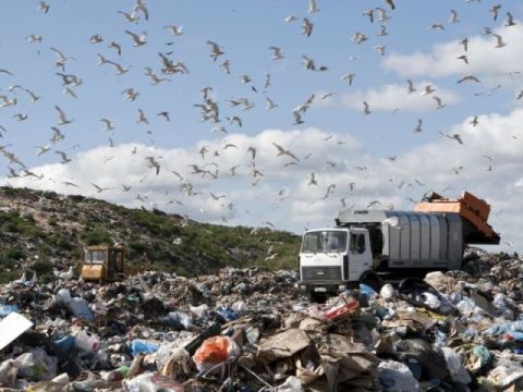 Васюник підтримує жовківських депутатів щодо закриття Грибовицького сміттєзвалища