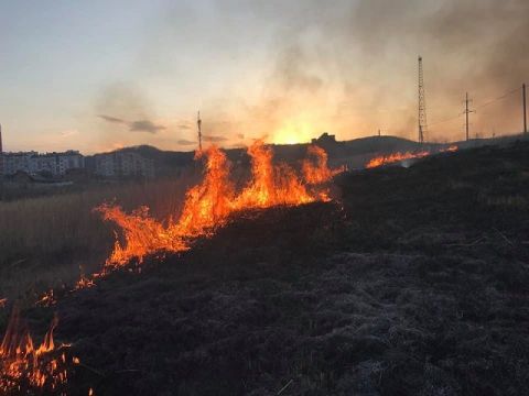 За добу рятувальники погасили 75 пожеж сухостою на Львівщині