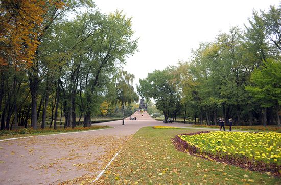 Торік у Львові порушники самовільно знищили зелених насаджень на 25 тис. грн.