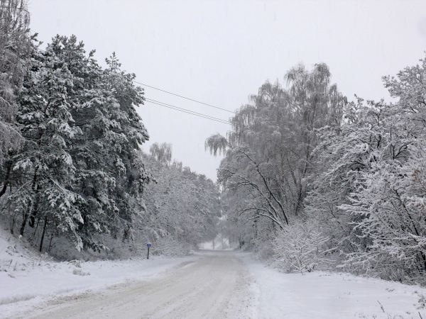 Рейсовий автобус перекинувся на Львівщині