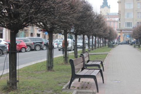 Частині мешканців трьох районів Львова на день вимкнуть воду