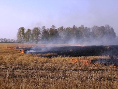 Через спалювання стерні на Львівщині загинула людина