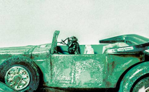 аполінаріум "їде
муха" (2025)