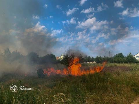 За добу на Львівщині зафіксували понад 10 пожеж сухостою