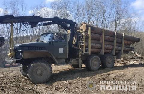 На Старосамбірщині виявили пилораму із нечіпованими хвойними деревами