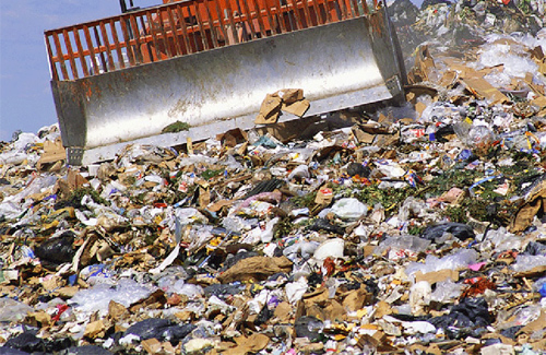 На Львівщині ліквідували162 стихійних сміттєзвалища