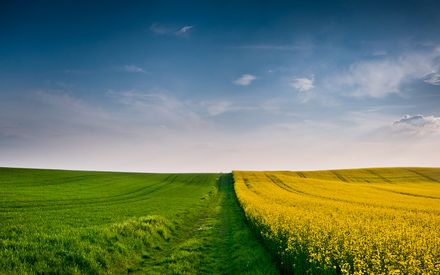 7 учасників АТО з Львівщини подали заявку на отримання земельних ділянок