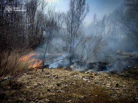 За добу на Львівщині зафіксували понад 45 пожеж сухостою