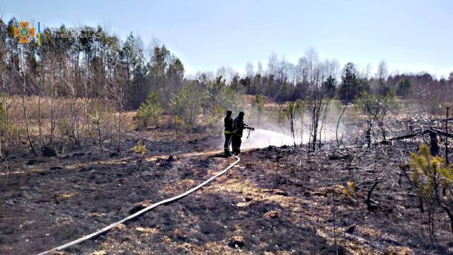 За добу на Львівщині зафіксували п'ять пожеж сухостою