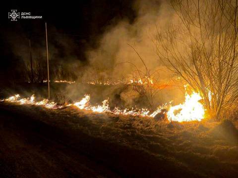 На Львівщині з початку року зафіксували понад 800 пожеж в екосистемах