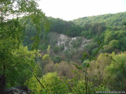 Згорілий автомобіль, з якого стріляли у Вову "Морду", знайдений у Винниківському лісі