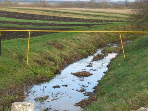 За місяць у семи річках Львівщини значно погіршилась якість води