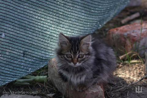 Генштаб ЗСУ оприлюднив втрати росіян на 22 січня